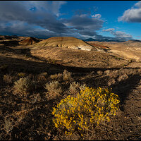 Painted-Hills-AR7--070-Pano.jpg