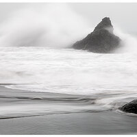 Bad Day for a Swim