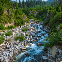 Stevens Creek Mount Rainier 18516_100S4567-ACR.jpg