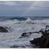 Rainbow Surf