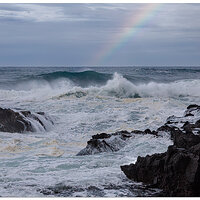 Rainbow Surf