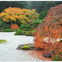 Portland Japanese Garden