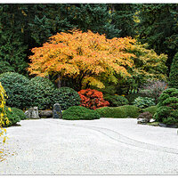 Portpand Japanese Garden