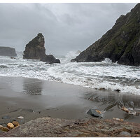 Stormy Marine Garden