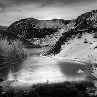Iced Bay.jpg