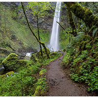Elowah Falls
