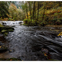Sweet Creek