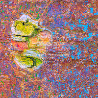 Pollock by Nature
