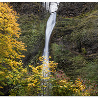 Horsetail Falls