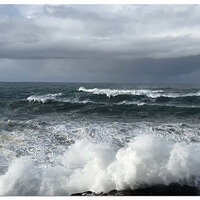 Shore Acres - Big Swells