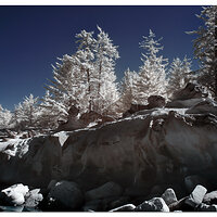 Shore Acres Moonscape