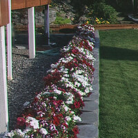 54546_03.jpg