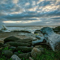 140709-8525-5dm3.jpg