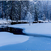 Frozen World.jpg