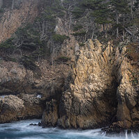 Cliffside Forest.jpg