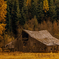 220114-27362-R5 b37.jpg