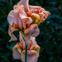 220121-27415-R5.jpg