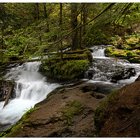 Panther Creek