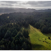 View To Port Orford