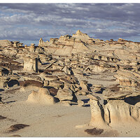 Bisti
