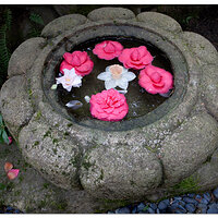 Portland Japanese Garden Entrance Bouquet