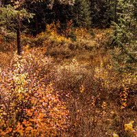 220207-27557-R5.jpg