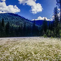 220207-27562-R5.jpg