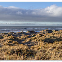 Lost Coast Dunes