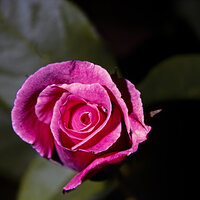 82 jul k25 220212-27601-R5.jpg