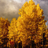 82 oct k25 220213-27614-R5.jpg