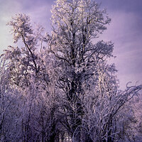 89 k64 220213-27617-R5.jpg