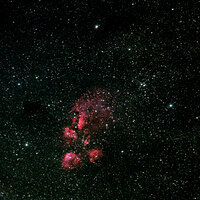 Cat's Paw Nebula