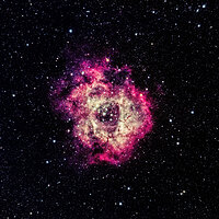 Rosette_20220208_dpw.jpg