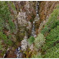McCord DJI View