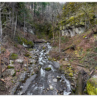 Lower McCord Creek