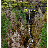 Elowah Falls - Vertical Pano