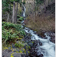 Wahkeena Falls