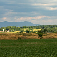 Green Mountain Views