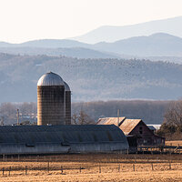 Farm on the lake (color).jpg