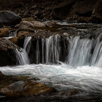 220319-405-R5 crop.jpg