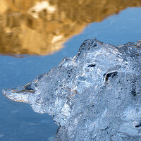 Remains of Winter.jpg
