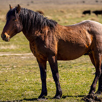 220325-457-R5.jpg