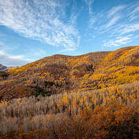 121011-0024-mk3.jpg