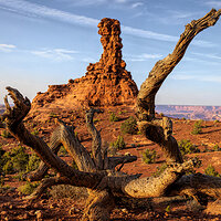 220420-1187-1190 focus stack.jpg