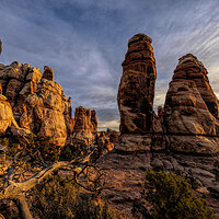220419-1088-R5.jpg