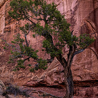 220419-1093-R5B.jpg
