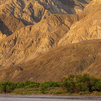 Desert Spring and Mountains.jpg