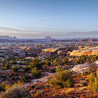 220421-1293-R5 a.jpg