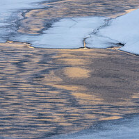 Painted Ice.jpg