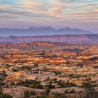 220420-1216-R5-2C.jpg